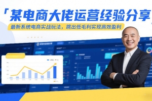 某电商大佬运营经验分享，最新系统电商实战玩法，跳出低毛利实现高效盈利