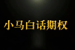 小马白话期权【第1季】
