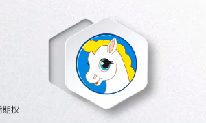 小马白话期权【第2季】