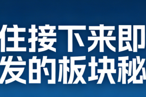 抓住接下来即将爆发的板块秘诀 7文档