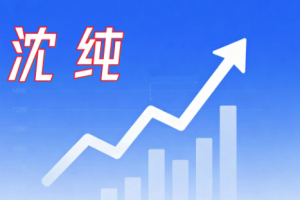 沈淳20260322周末总结：市场见底的信号 1视频