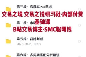 交易之境订单流精讲 交易之镜研习社 内部付费基础课 B站交易博主 SMC聪明钱