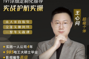 王心问-自媒体实战护航计划 实战护航实操，多个实战案例