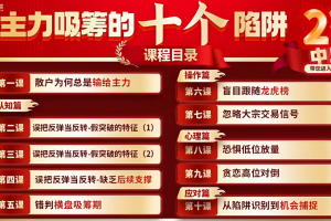 刘琦男刘琦老师寻龙私密圈主力吸筹的十个陷阱系统课 指标