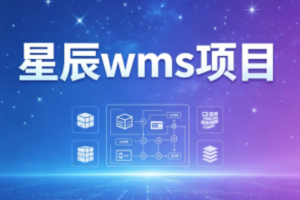 星辰wms项目